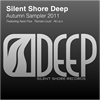 SSD017: Various Artists - Autumn Sampler 2011