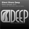 Various Artists - Winter Sampler 2011 /Out Now Exclusive/