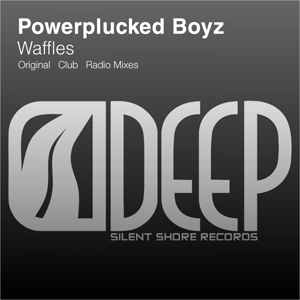 SSD025: Poweplucked Boyz - Waffles
