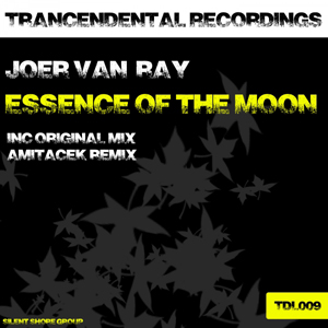 TDL009: Joer van Ray - Essence Of The Moon