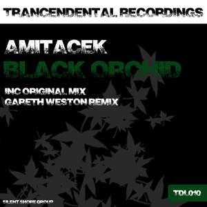 TDL010: Amitacek - Black Orchid